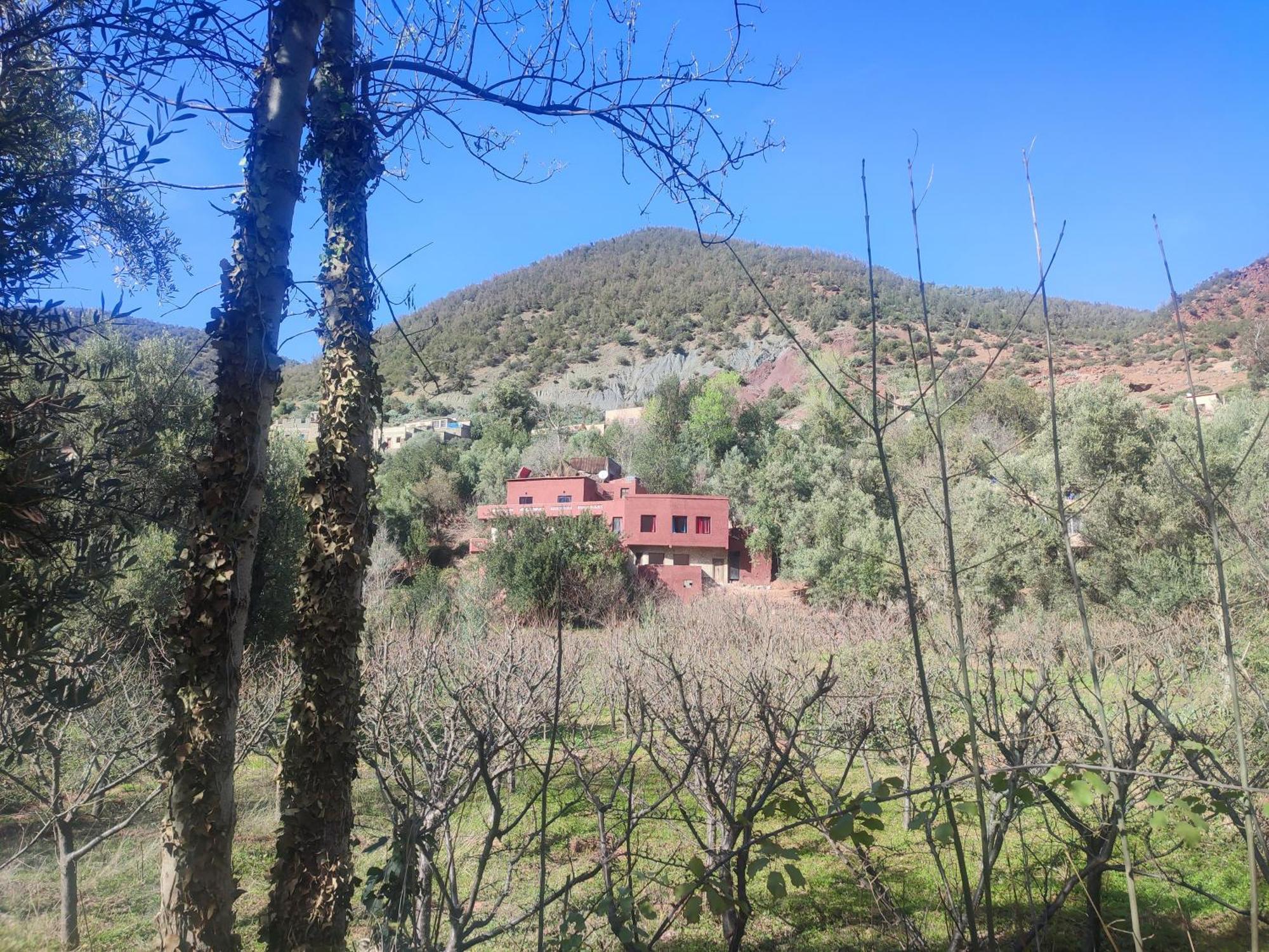 Chez Yahia, Au coeur de L'Ourika Otel Dış mekan fotoğraf