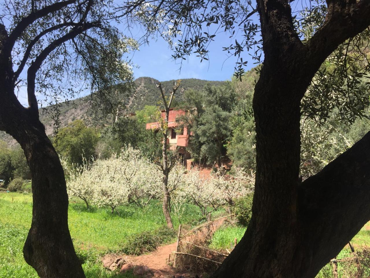 Chez Yahia, Au coeur de L'Ourika Otel Dış mekan fotoğraf